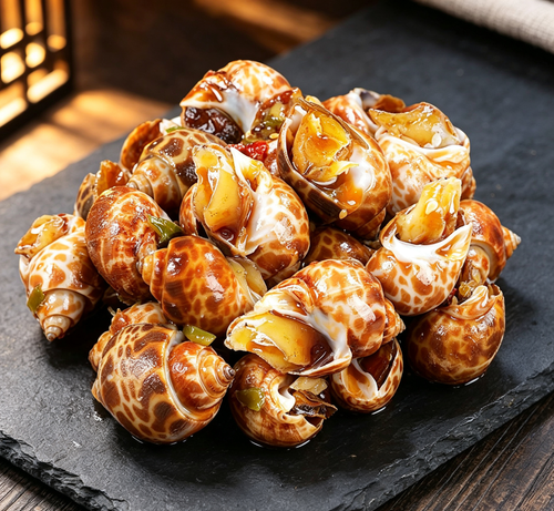 Spotted Sea Snails